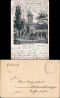 Ansichtskarte Frankenthal (Pfalz) Luitpoldbrunnen Männer - Häuser 1907 - Frankenthal