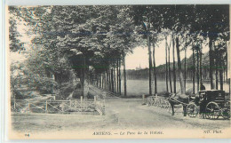 17041 - AMIENS - LA PARC DE LA HOTOIE - Amiens