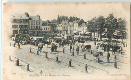 22535 - AMIENS - LE MARCHE AUX CHEVAUX - Amiens