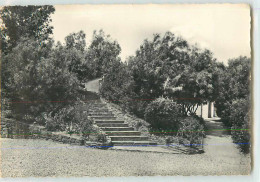 19837 - LE LAVANDOU - CPSM - PRAMOUSQUIER CAP NEGRE / VILLAGE DE VACANCES DU TCF - Le Lavandou