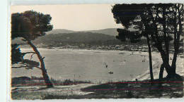 19570 - LE LAVANDOU - CPSM - LA PLAGE DE LA FAVIERE - Le Lavandou