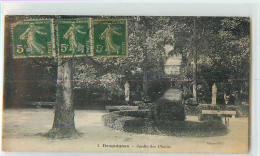 19504 - DRAGUIGNAN - JARDIN DES PLANTES - Draguignan