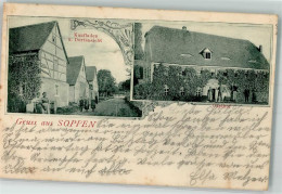 13632981 - Soppen - Moritzburg