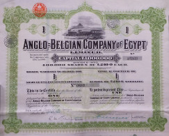 The Anglo-Belgian Company Of Egypt - 1 Share - London - 1927 - Agriculture