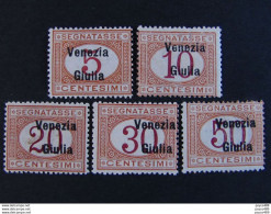 ITALIA Venezia Giulia -1918- "Segnatasse" 5 Val. MH* (descrizione) - Venezia Giulia