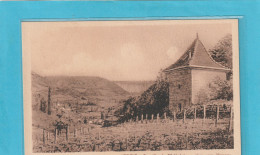 ARBOIS. TOURILLON-LA-CHATELAINE . VUE VERS MESNAY D'apres Une Aquarelle De M.J. SAVOYE .  CARTE NON ECRITE - Arbois