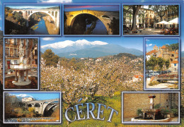 66-CERET-N°C4041-A/0029 - Ceret