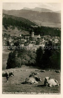 73064017 Oberstaufen Panorama Rinderherde Oberstaufen - Oberstaufen