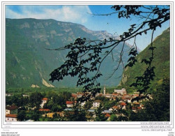 GRIGNO  (VALS):  PANORAMA  -  FG - Trento