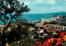 83 - LE LAVANDOU - Le Lavandou