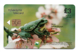 Grenouille Frog Animal Télécarte Chypre Phonecard   (A 34) - Chypre