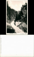 Ansichtskarte Schmilka Wurzelweg M. Seidel Schmilka 1932 - Schmilka