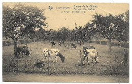 CPA Lovendegem, Zusters Van Liefde, De Boomgaard (plooi + Schade Achteraan) - Lovendegem