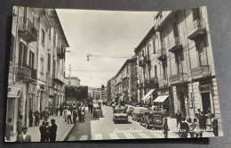 Cartolina Campobasso - Corso Vittorio Emanuele                                                                           - Campobasso