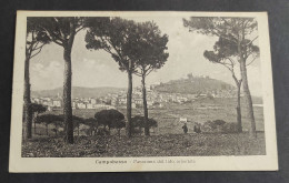 Cartolina Campobasso - Panorama Dal Lato Orientale                                                                       - Campobasso