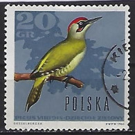 Poland 1966  Waldvogal  (o) Mi.1719 - Gebraucht