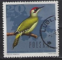 Poland 1966  Waldvogal  (o) Mi.1719 - Gebraucht