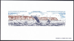 St. Pierre & Miquelon Sc507a Nature Heritage, Ross Cove, Cap Perce, Whale, Baleine, Deluxe Proof, Epreuve - Ballenas