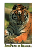 CPM - ZOO PARC De BEAUVAL - TIGRE Jaune - Edition Du Parc - Tigers