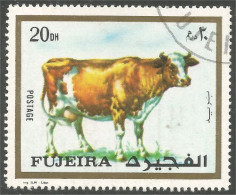 400 Fujeira Vache Cow Vaca Kuh Koe Mucca Vacca (FUJ-15) - Koeien