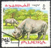 400 Fujeira Rhinoceros (FUJ-1) - Rhinozerosse