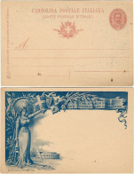 REGNO D'ITALIA 1896 INTERO POSTALE TIPO NOZZE REALI - NUOVO - FILAGRANO C29-1 - Postwaardestukken