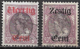 1919 Hulpuitgifte Kon. Wilhelmina Opdrukken Serie NVPH 102 / 103 - Used Stamps