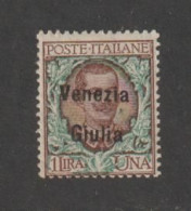 VENEZIA  GIULIA:  1918/19  SOPRASTAMPATO  -  £. 1  BRUNO  E  VERDE  N.  -  SASS. 29 - Venezia Giulia