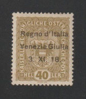 VENEZIA  GIULIA:  1918  SOPRASTAMPATO  -  40 H. OLIVA  L. -  G.CHIAVARELLO + A.DIENA + E.DIENA  -  SASS. 10 - Venezia Giulia