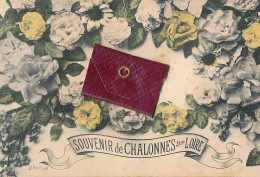 49 // Souvenir De CHALONNES SUR LOIRE  Livret Avec Dépliant - Chalonnes Sur Loire