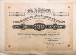 V. Emission - 25 Actions Spolka Akcyjna Gornictwa I Prezemyslu Naftowego - 1923 Avec Coupons - Bergbau