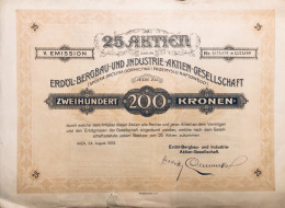 V. Emission - 25 Actions Spolka Akcyjna Gornictwa I Prezemyslu Naftowego - 1923 Avec Coupons - Mines