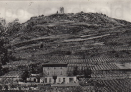 CARTOLINA  CA BRANCHI (CASA VALLI) SONDRIO LOMBARDIA VIAGGIATA 1958 - Sondrio