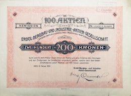 Rare - IV. Emission - 100 Actions Spolka Akcyjna Gornictwa I Prezemyslu Naftowego - 1923 Avec Coupons - Mines