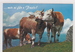 Paix / Peace / Frieden : Vaches / Cows/ Kühe.. Mir Si Für E Fride (nous Sommes Pour La Paix) - Filosofie