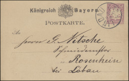 Postkarte P 18 Wappen 5 Pf Violett Von Einkreis-O LINDAU 6.3.1883 Nach Rosenheim - Postal  Stationery