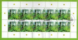 2452 Nationalpark Naturpark Bayerischer Wald - 10er-Bogen Auf Kartonvorlage ESST - 2001-2010