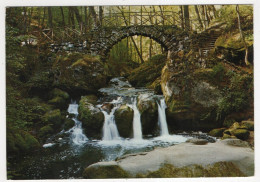 AK 219705 LUXEMBOURG - Schiessentümpel - Müllerthal - Muellerthal