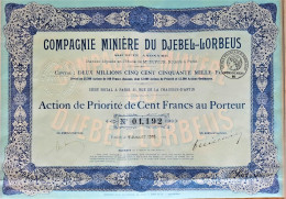 S.A.Cie Minière Du Djebel-Lorbeus-action De Priorité De 100fr Au Porteur (1916) - Paris - Bergbau