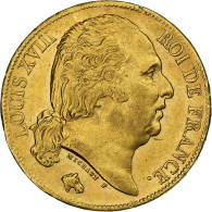 France, Louis XVIII, 20 Francs, 1819, Paris, Or, SUP, Gadoury:1028 - 20 Francs (goud)