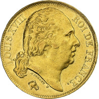 France, Louis XVIII, 20 Francs, 1817, Paris, Or, SUP, Gadoury:1028 - 20 Francs (or)