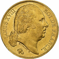 France, Louis XVIII, 20 Francs, 1824, Paris, Or, SUP, Gadoury:1028, Le - 20 Francs (or)