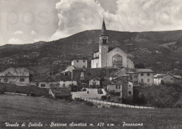 CARTOLINA  VESALE DI SESTOLA MODENA EMILIA ROMAGNA STAZIONE CLIMATICA M. 620 PANORAMA VIAGGIATA 1961 - Modena