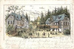 Meixmühle Bei Pillnitz - Litho - Pillnitz