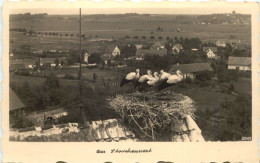 Burgau Schwaben - Das Storchennest - Guenzburg