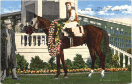 Gallahadion - Winner Of 1940 Kentucky Derby - Horse Show