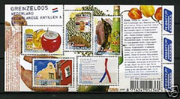 Nederland NVPH 2579 Vel Grenzeloos Nederland - Antillen & Aruba 2008 MNH Postfris - Altri & Non Classificati