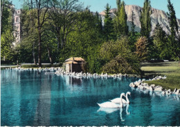 Trento - Giardini Di Piazza Dante - Laghetto Dei Cigni - 108 - Formato Grande Non Viaggiata – FE390 - Trento