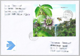 Portugal / Madeira Stamps 2013 - Beekeeping - Usado