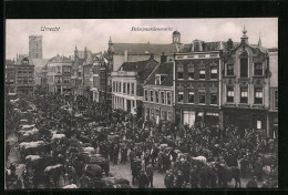 AK Utrecht, Palmpaardenmarkt  - Utrecht